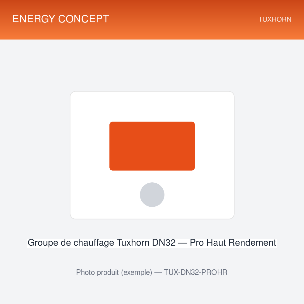 Groupe de chauffage Tuxhorn DN32 — Pro Haut Rendement — photo Groupe de chauffage Tuxhorn DN32 — Pro Haut Rendement — vue produit